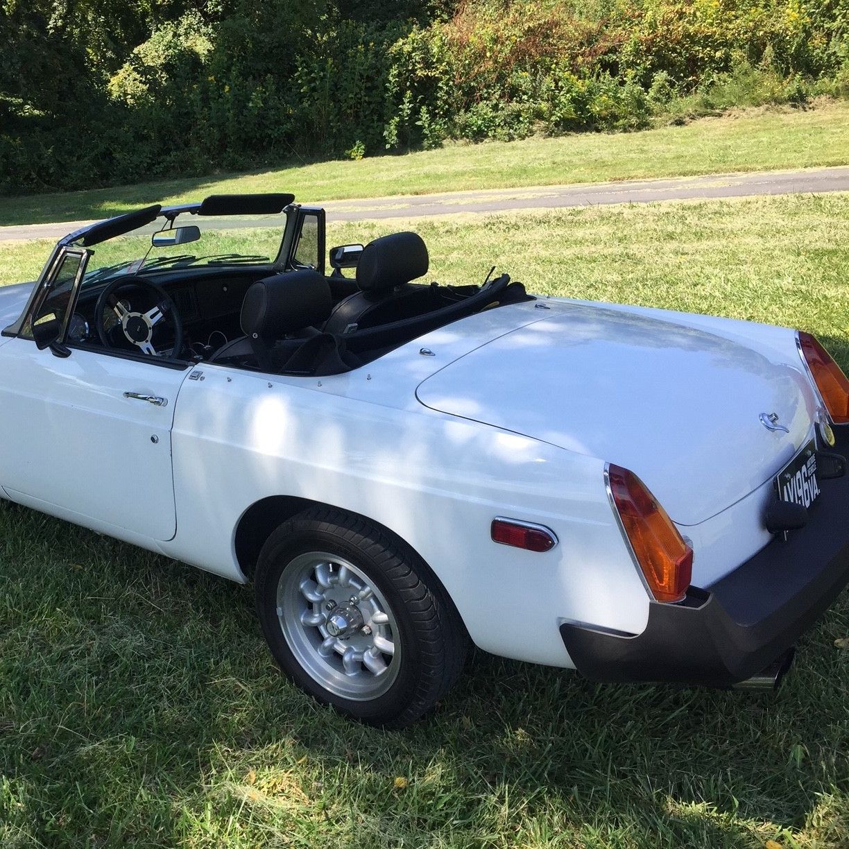 Profile of Dwight Whitted