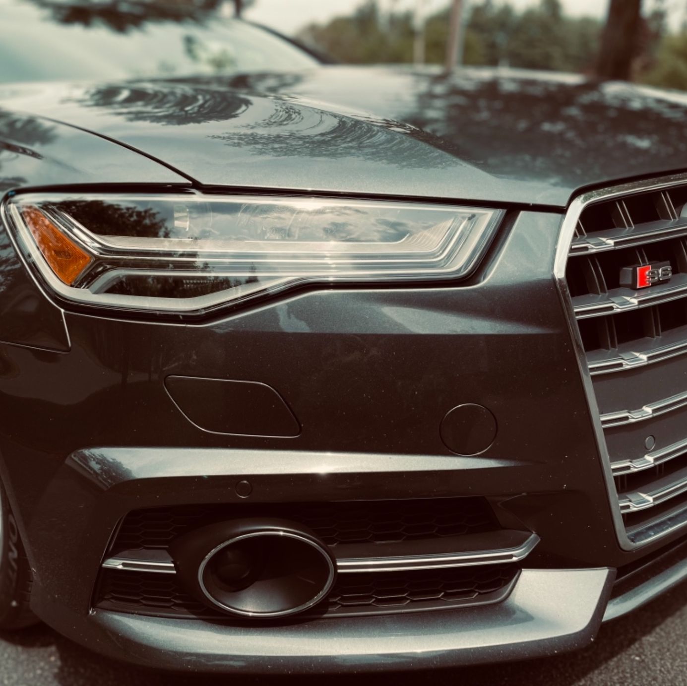 Profile of Heinz Pichler