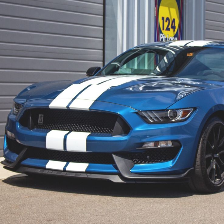 Profile of Samuel Barbose