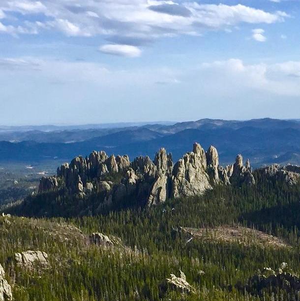 Profile of Bill Fitzgerald