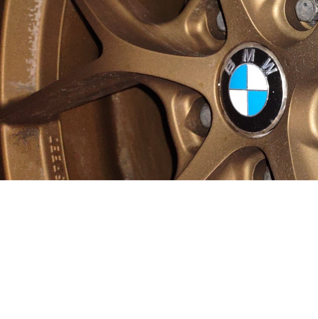 Profile of Anthony Tibbits