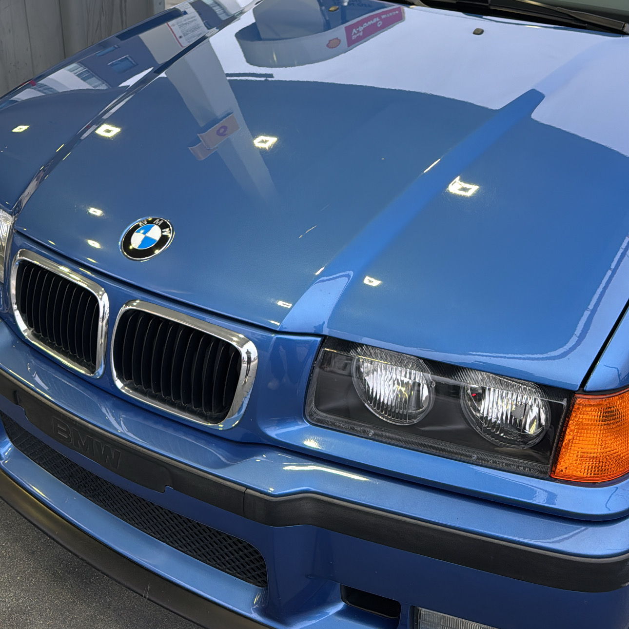 Profile of Alexander Lindsey