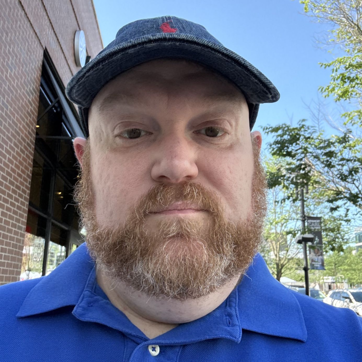 Profile of David Poole