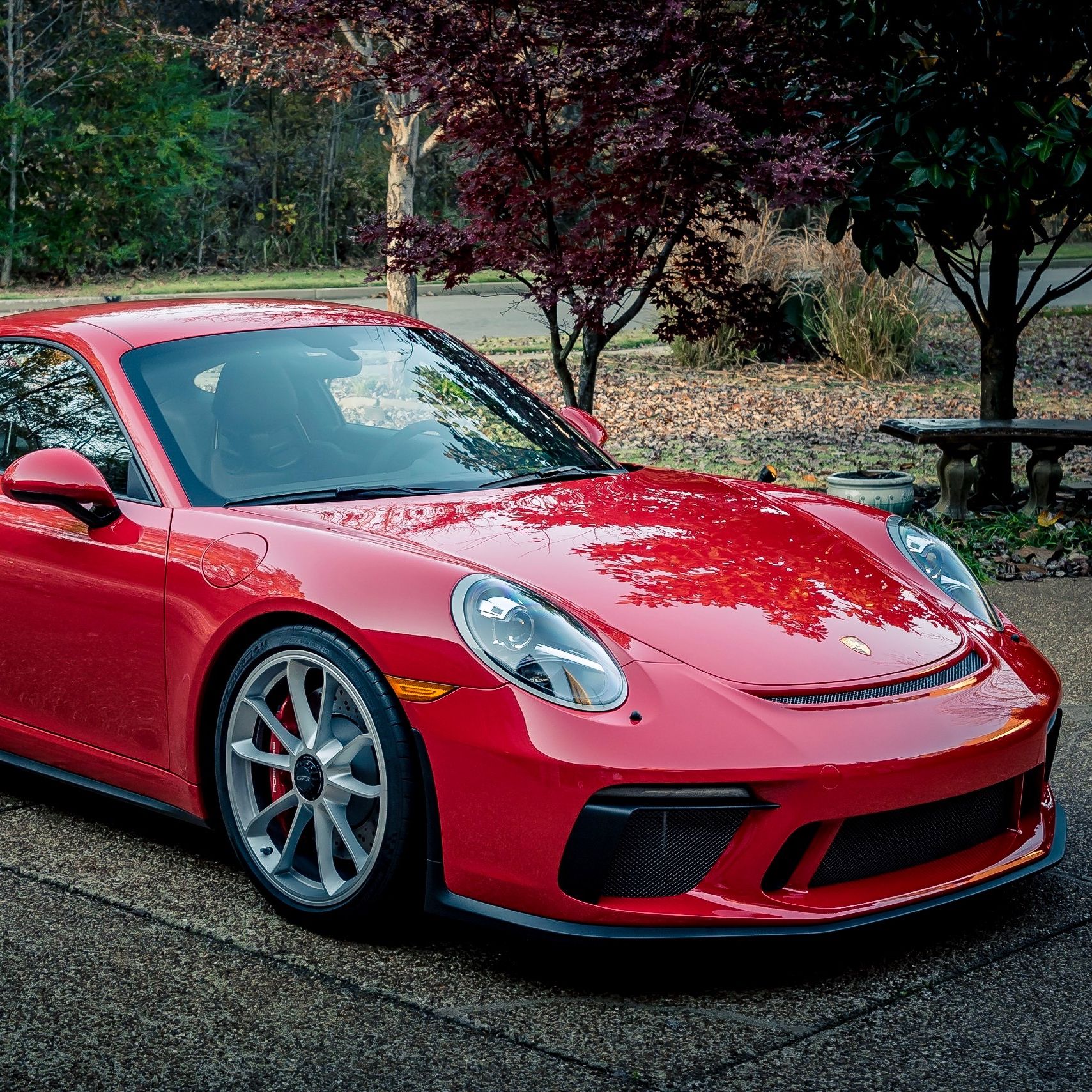 Profile of Stephen Barek