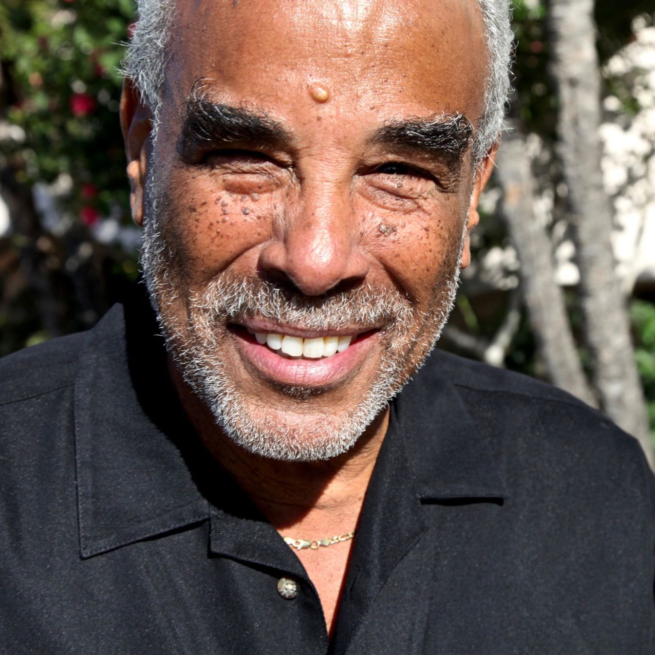 Profile of Michael Dolphin