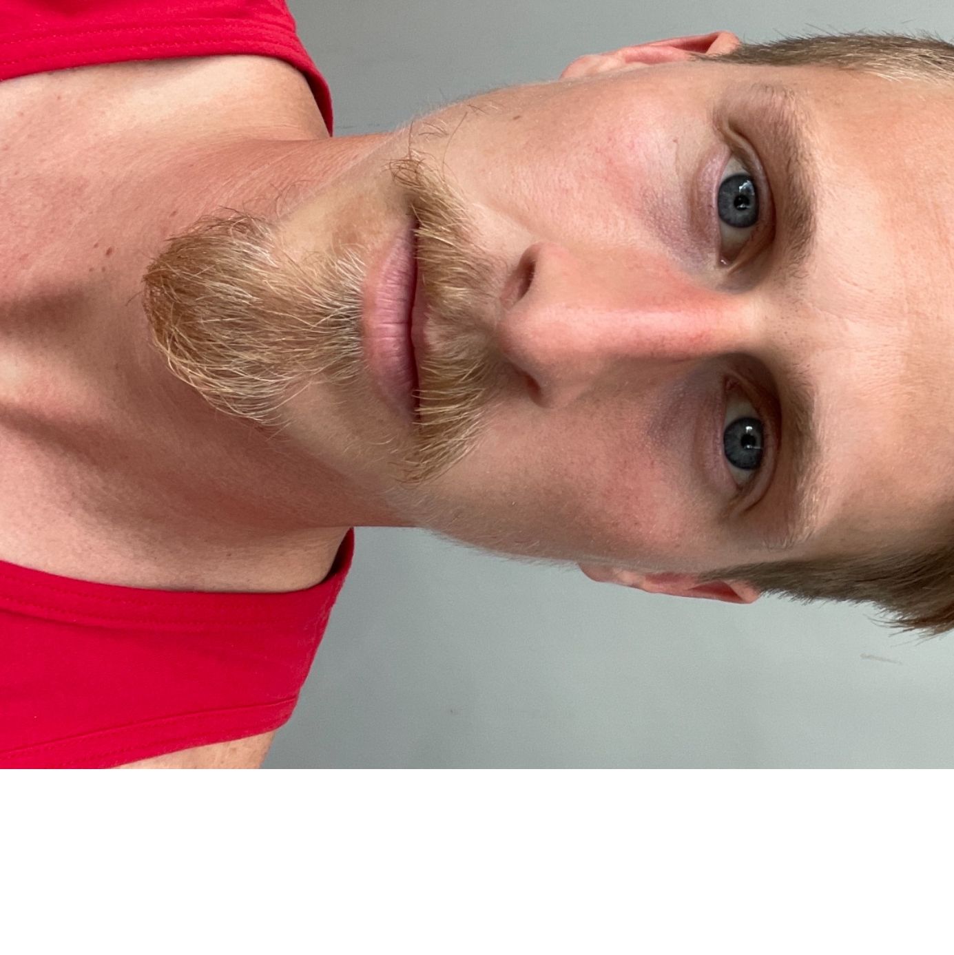 Profile of Nicolas Potter