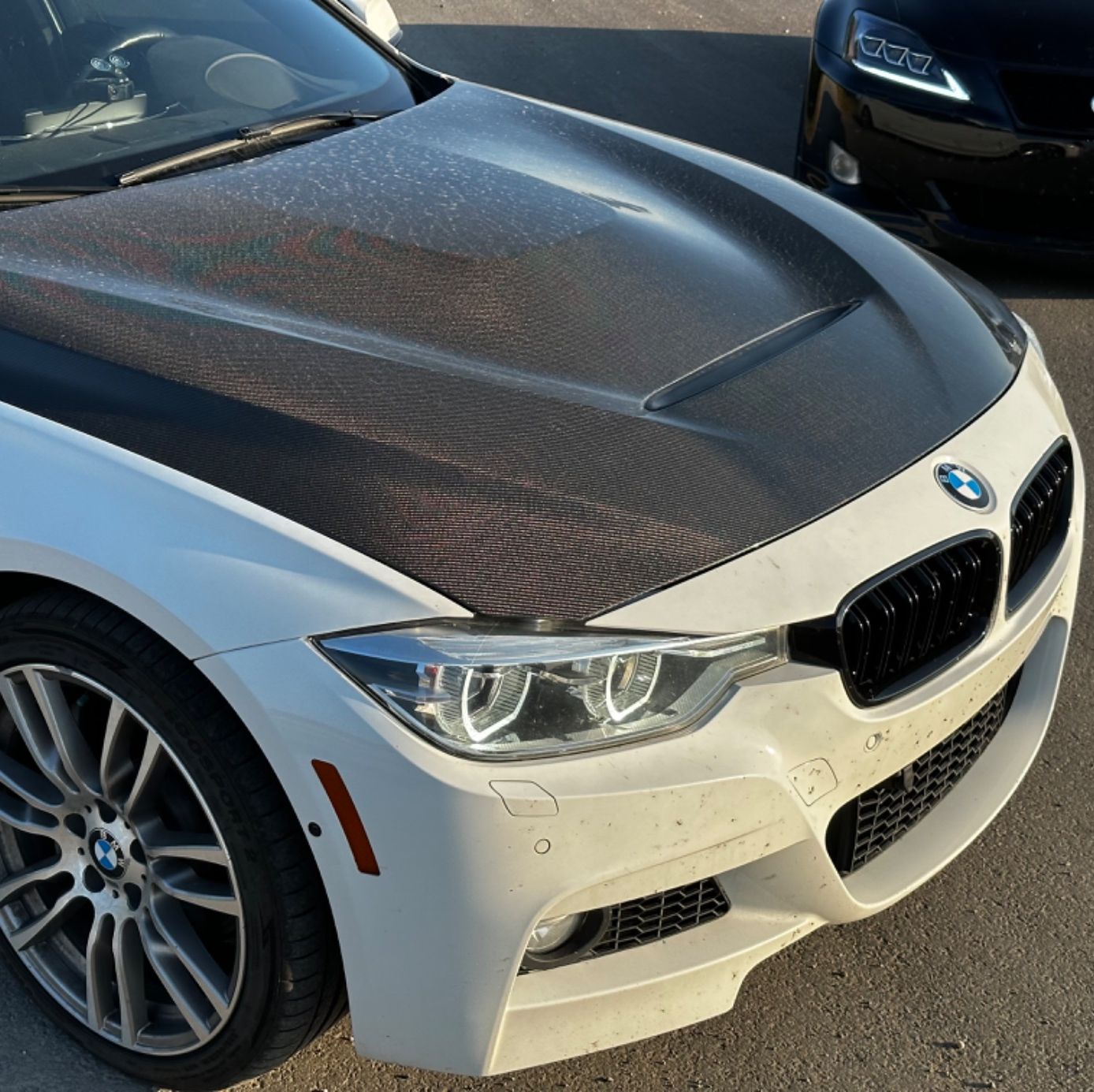 Profile of Tyson Ogilvie