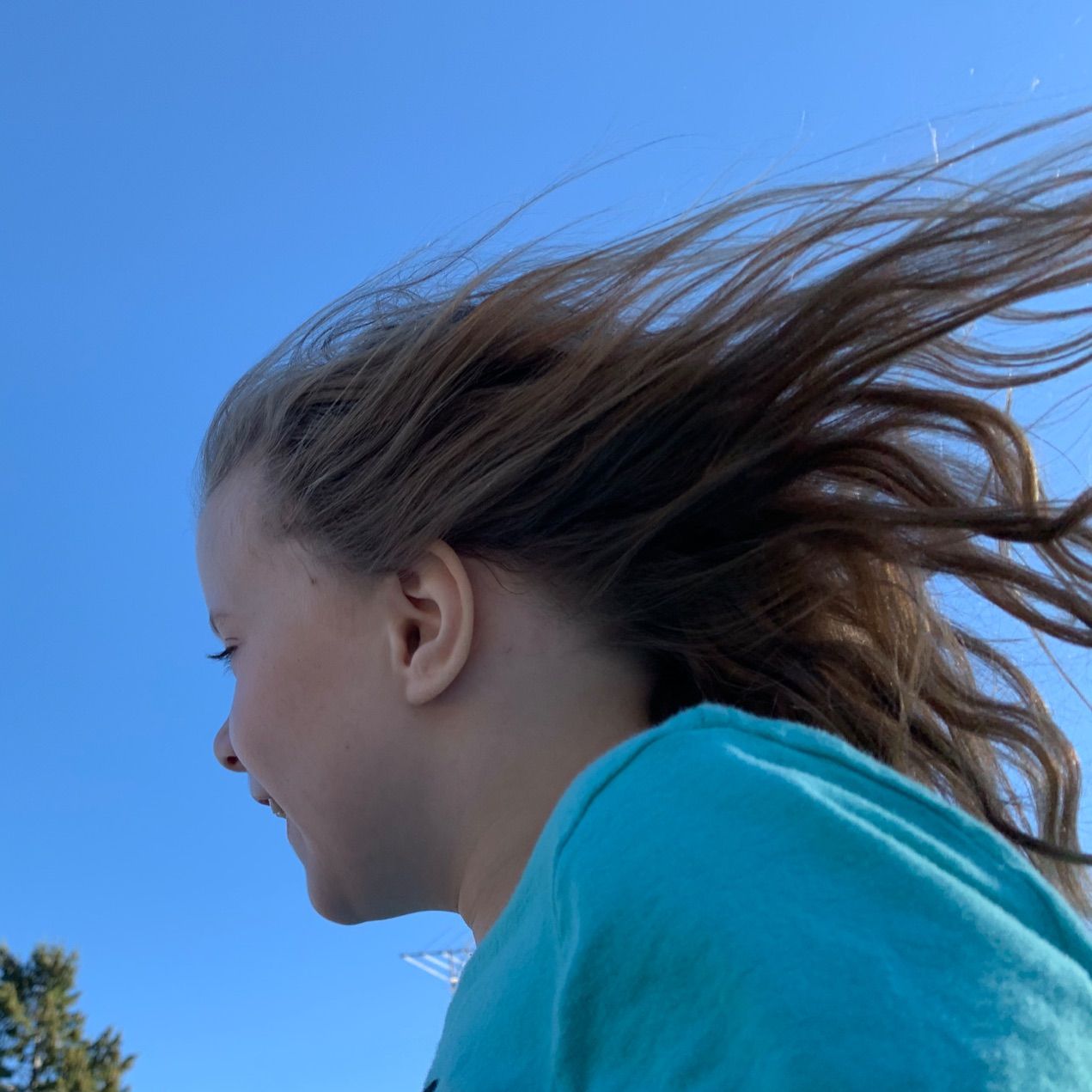 Profile of Sydney Meyer