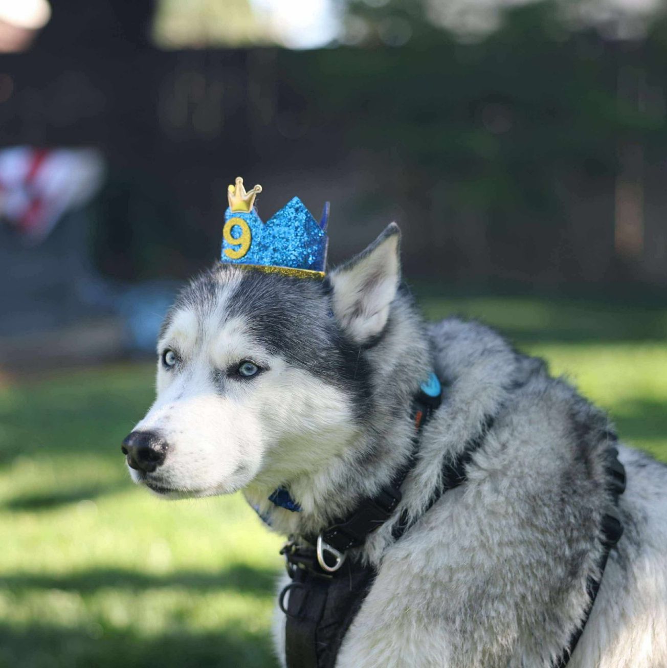 Profile of Mario Gonzalez