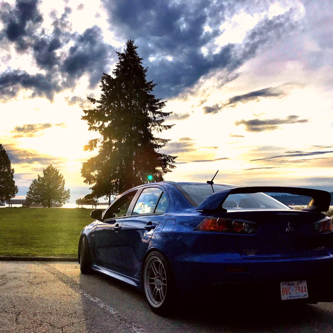 Profile of Cody McClew