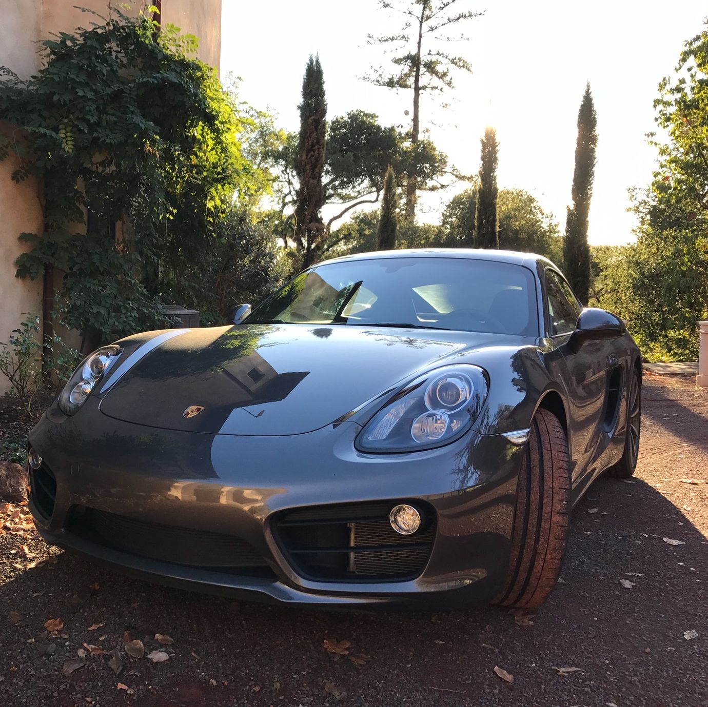 Profile of Michael Briggs