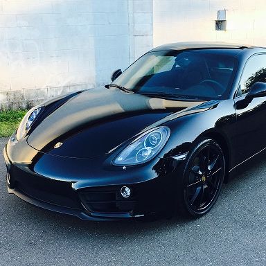 Profile of Carole Fritsche