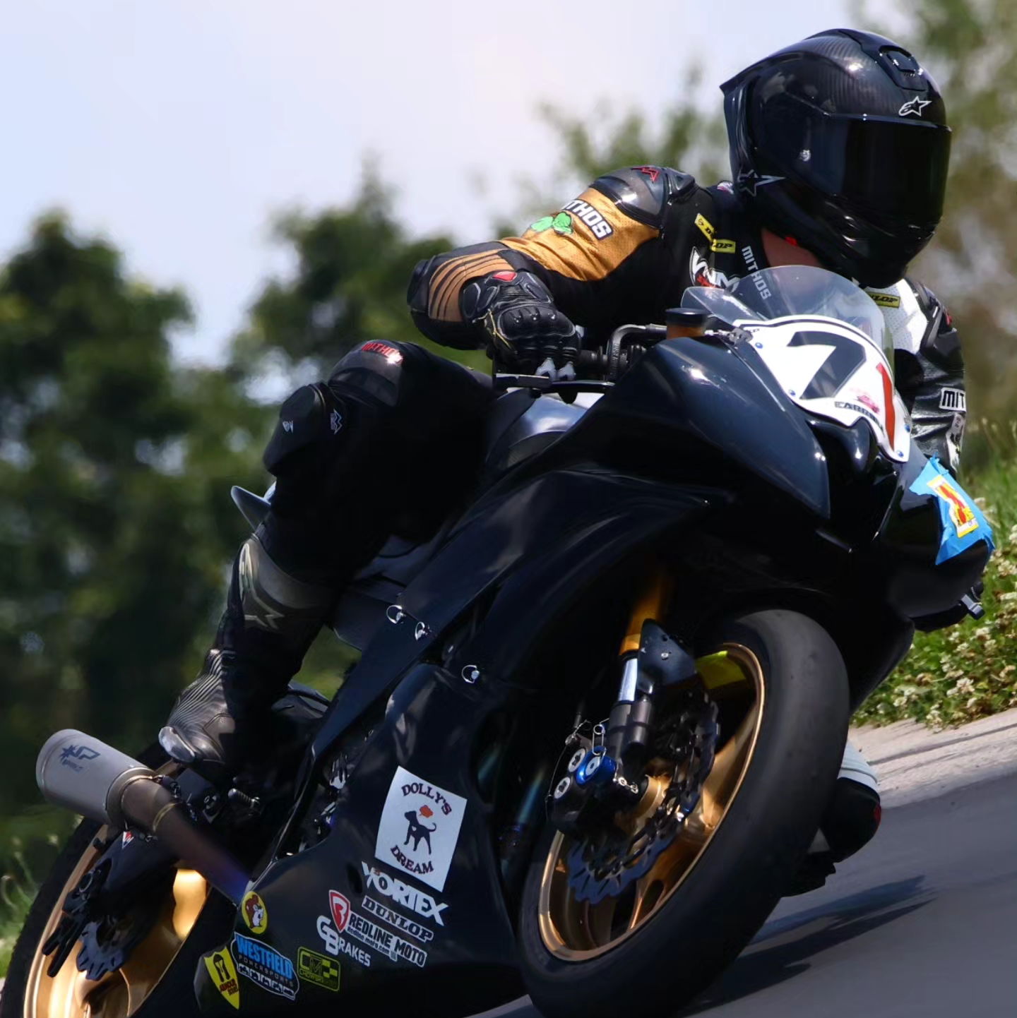 Profile of Robert Carroll