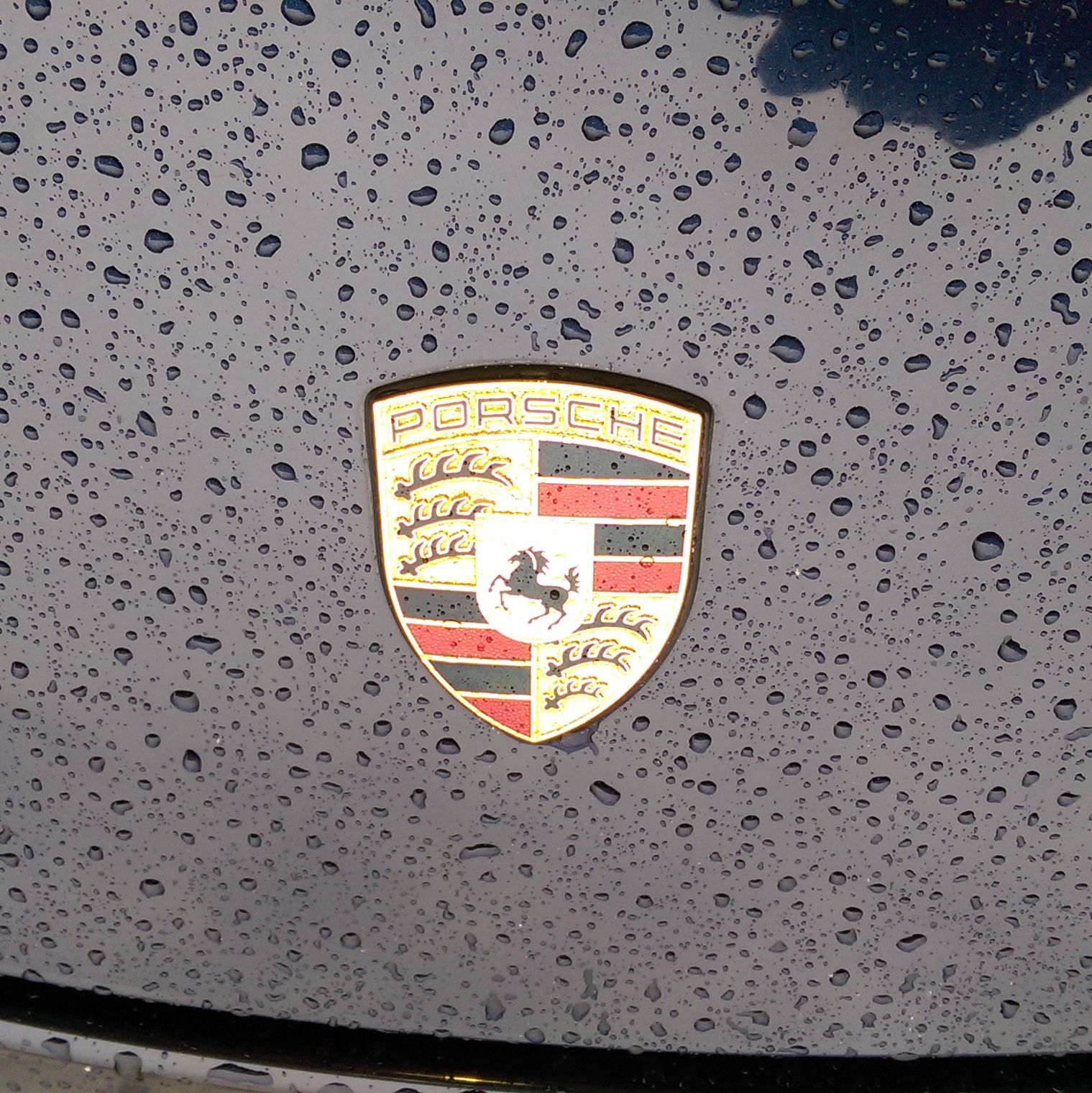 Profile of Michael Anderson