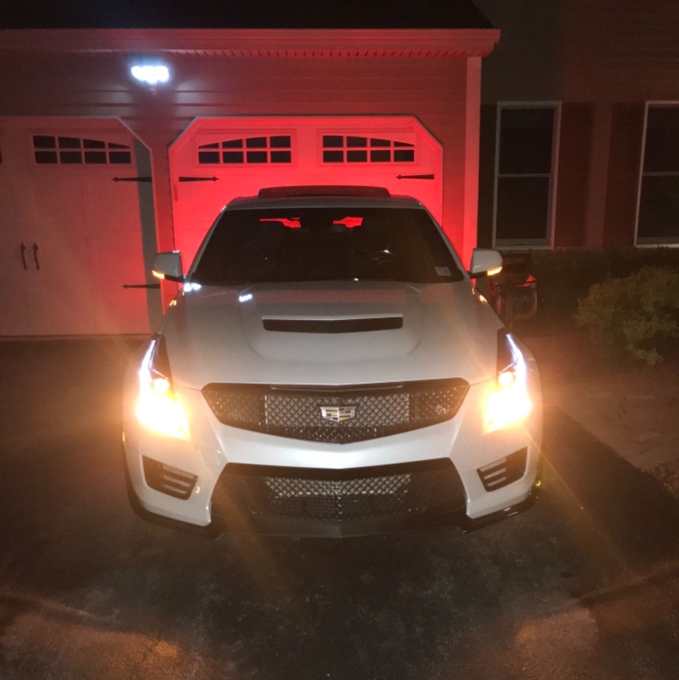 Profile of Adam Rowell