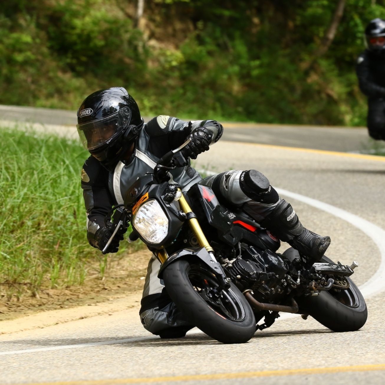 Profile of Sujesh Suresh