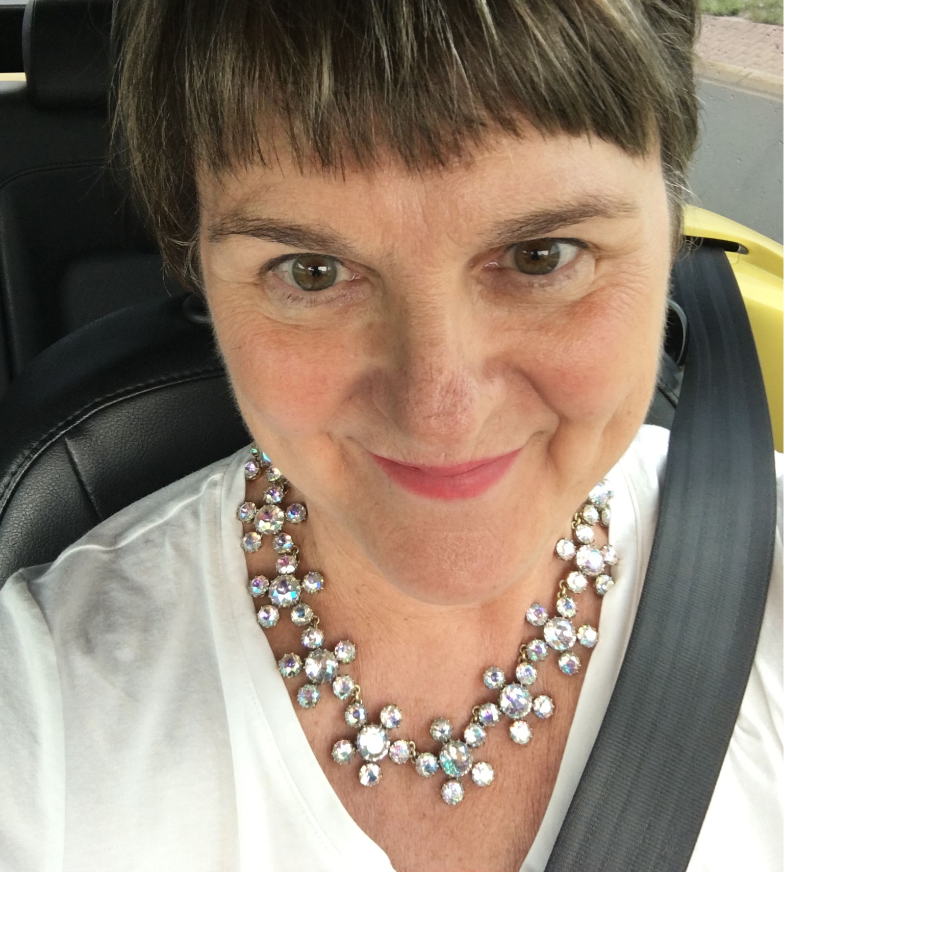 Profile of Robin Dillon