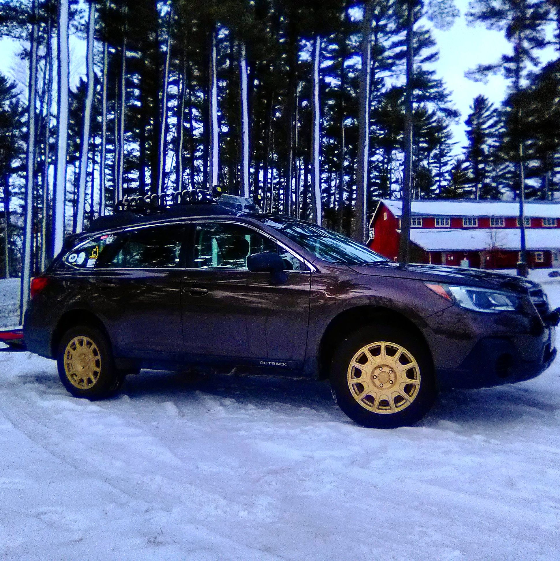 Profile of Jeremiah Alling