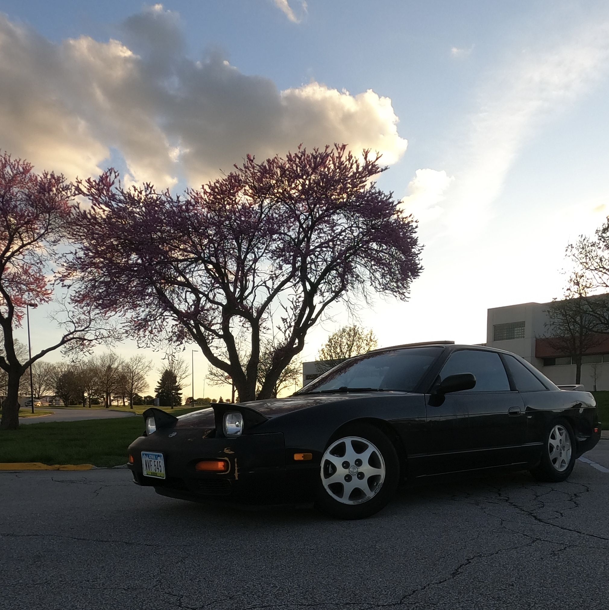 Profile of Justin Schirm