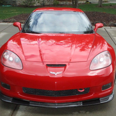 Profile of Sean Kelly