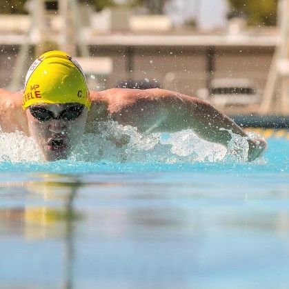 Profile of Scott Steele