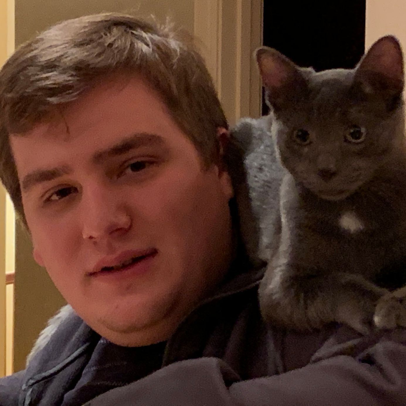 Profile of Brandon Crawford