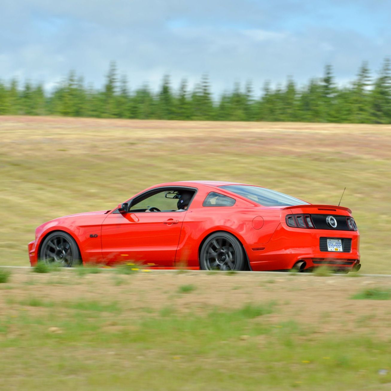 Profile of Admir Curkic