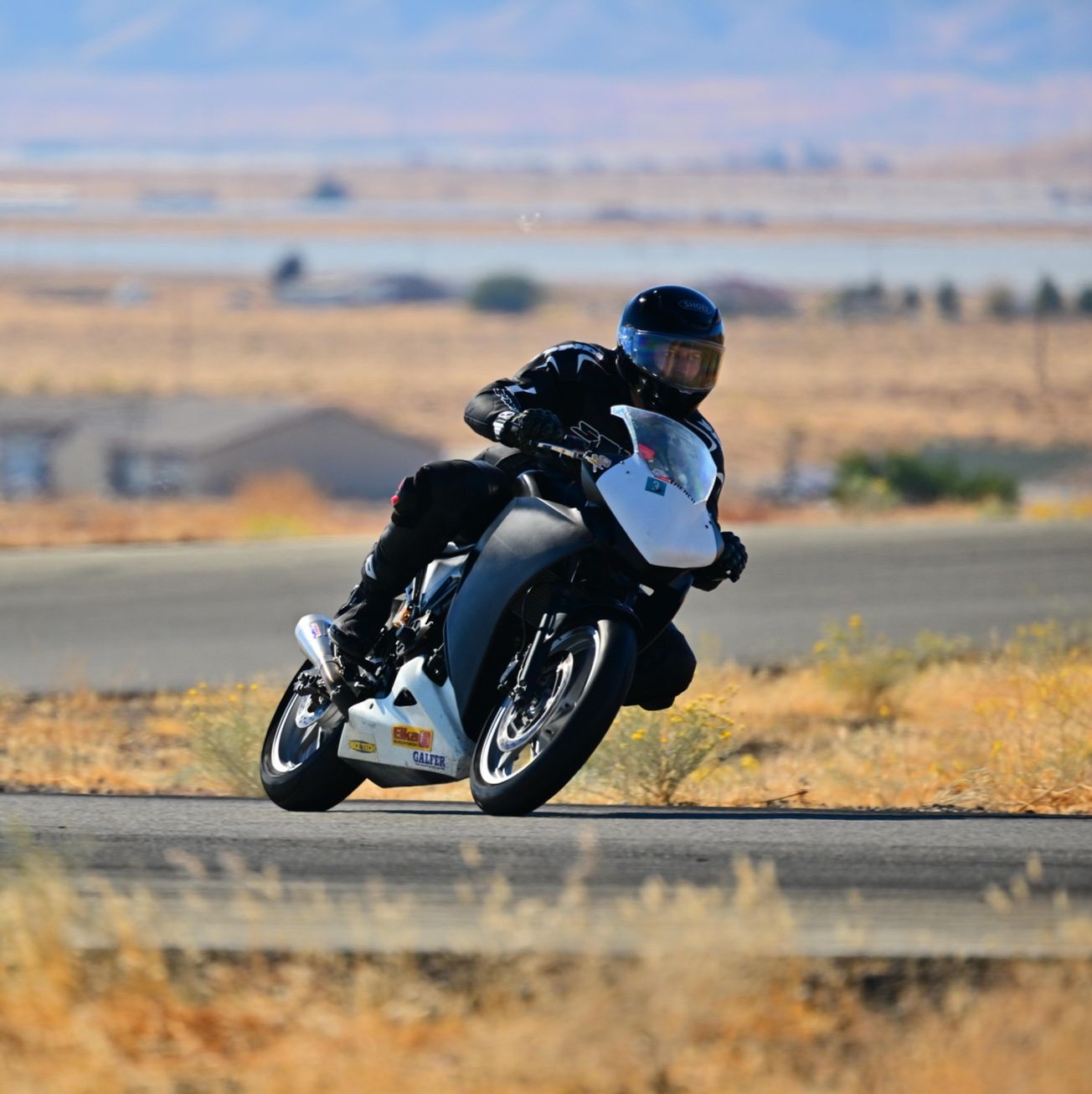 Profile of Gabriel Trench