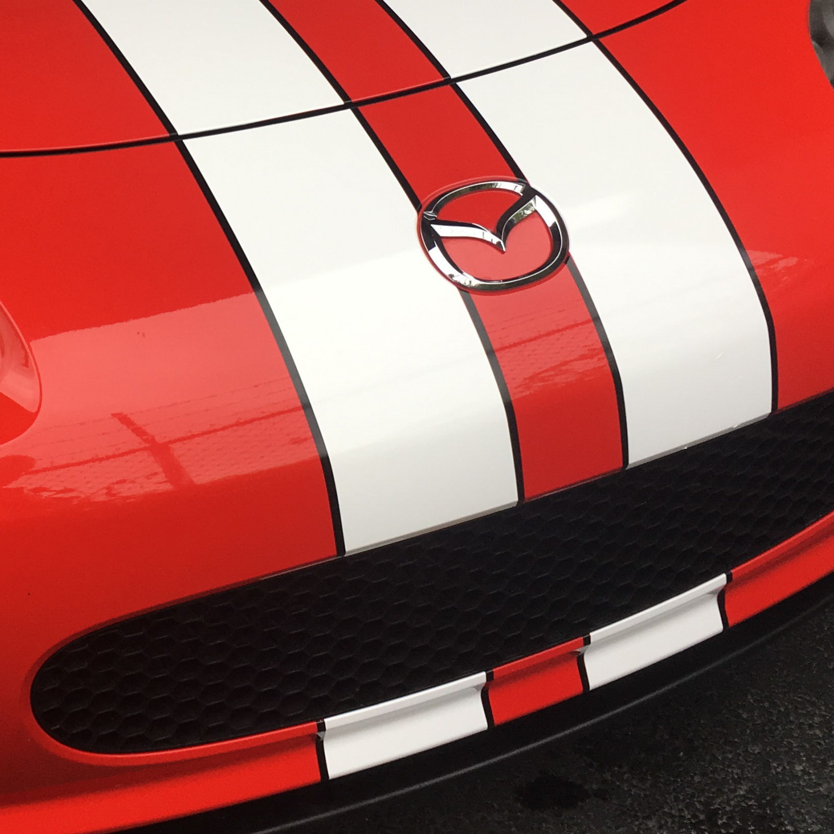 Profile of Rich Loney