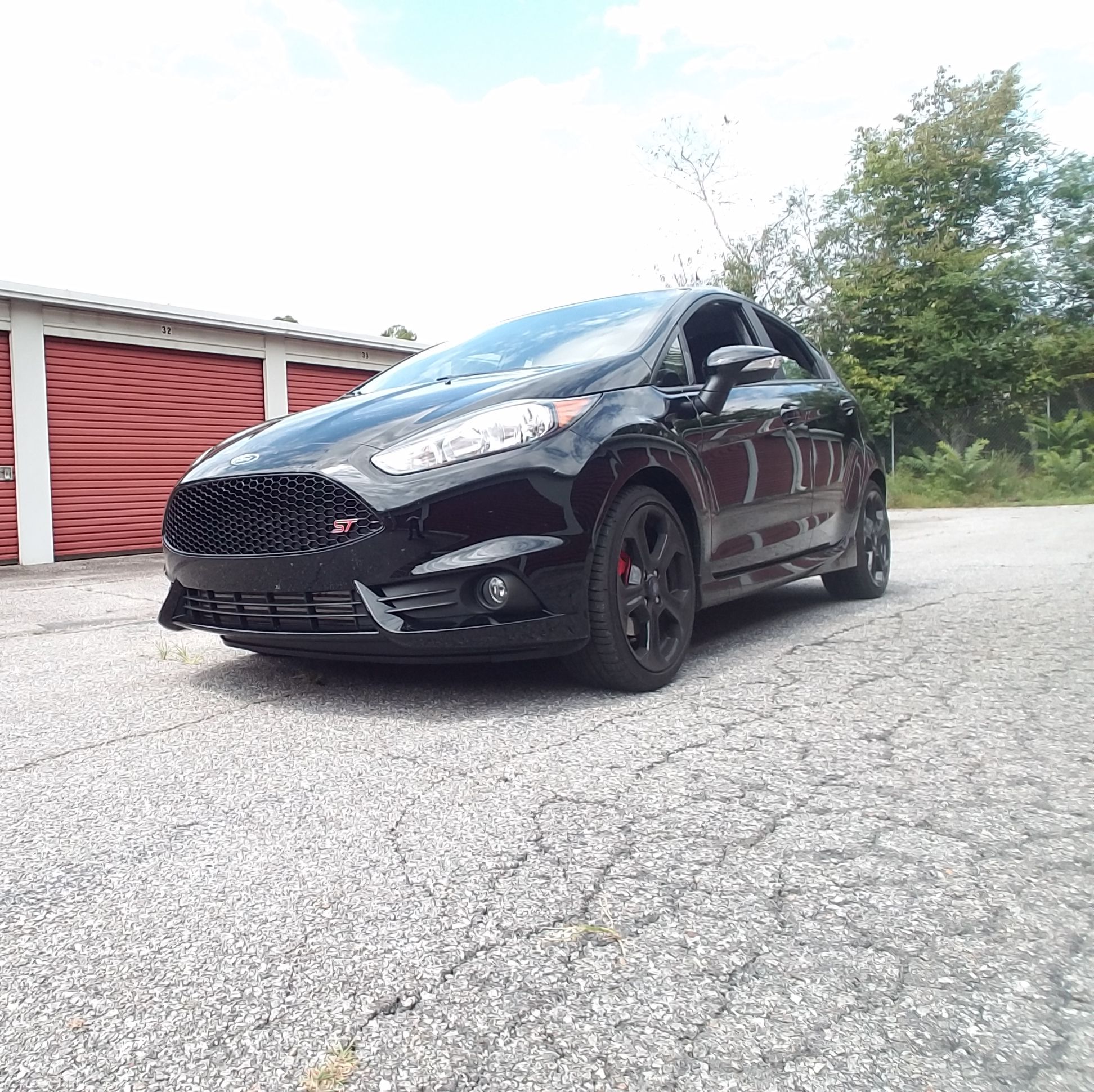 Profile of Paul Patrick