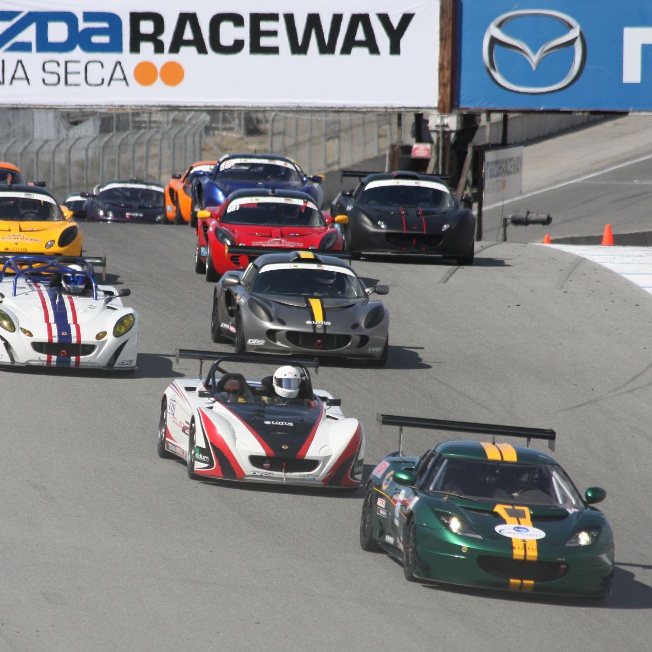 Profile of David MacMillan