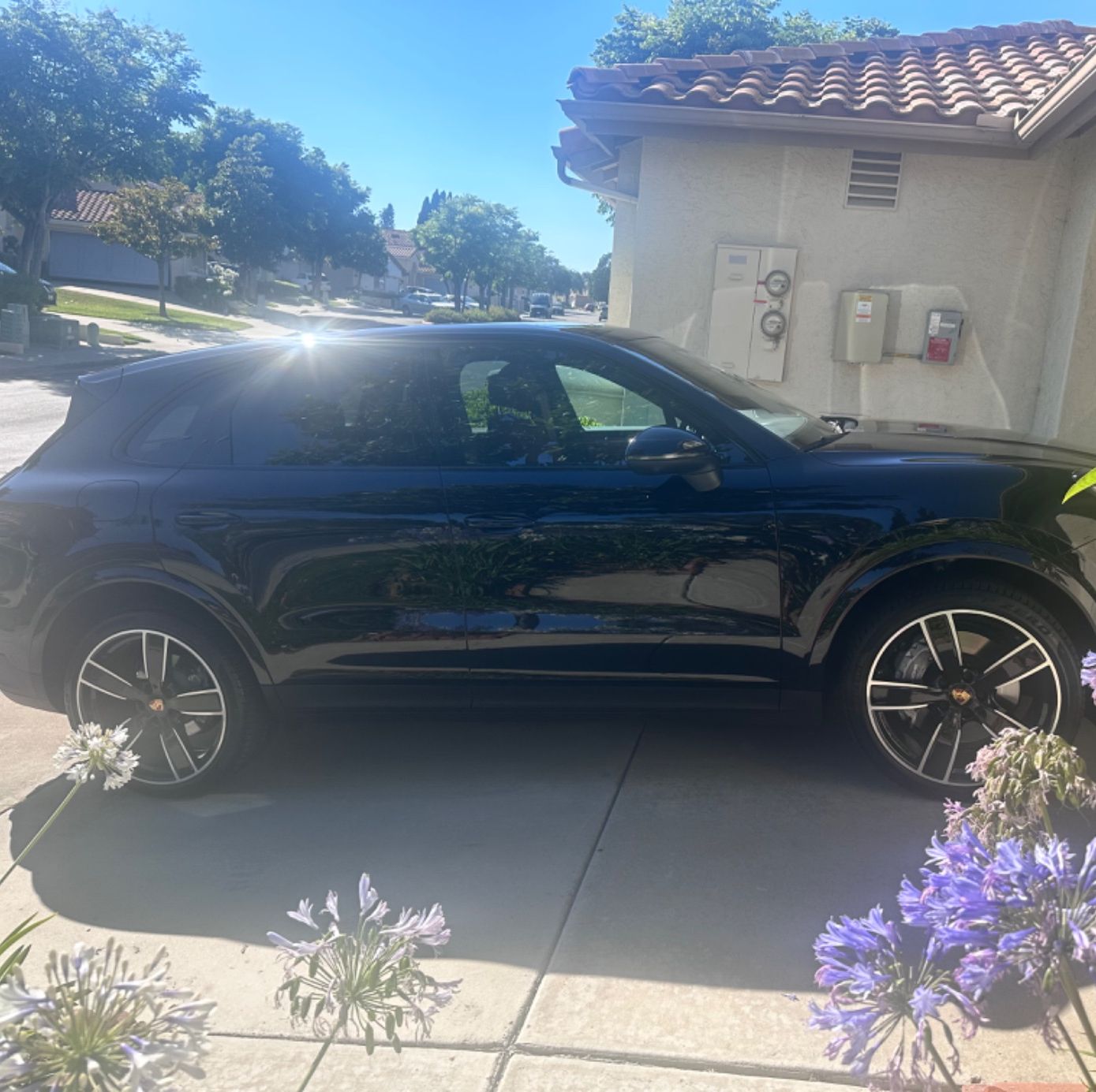 Profile of Yvette Aguayo