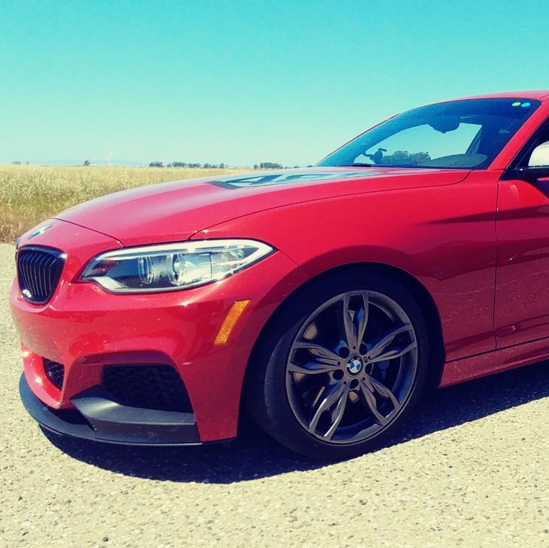 Profile of Sam Storey