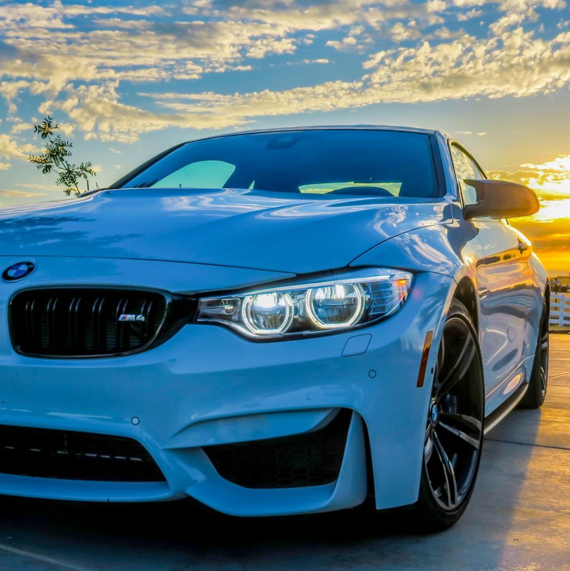 Profile of Doug Novak