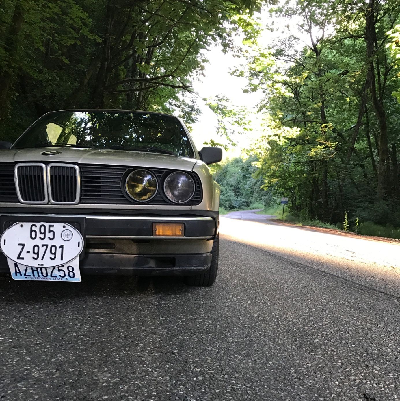 Profile of Cooper Waggoner