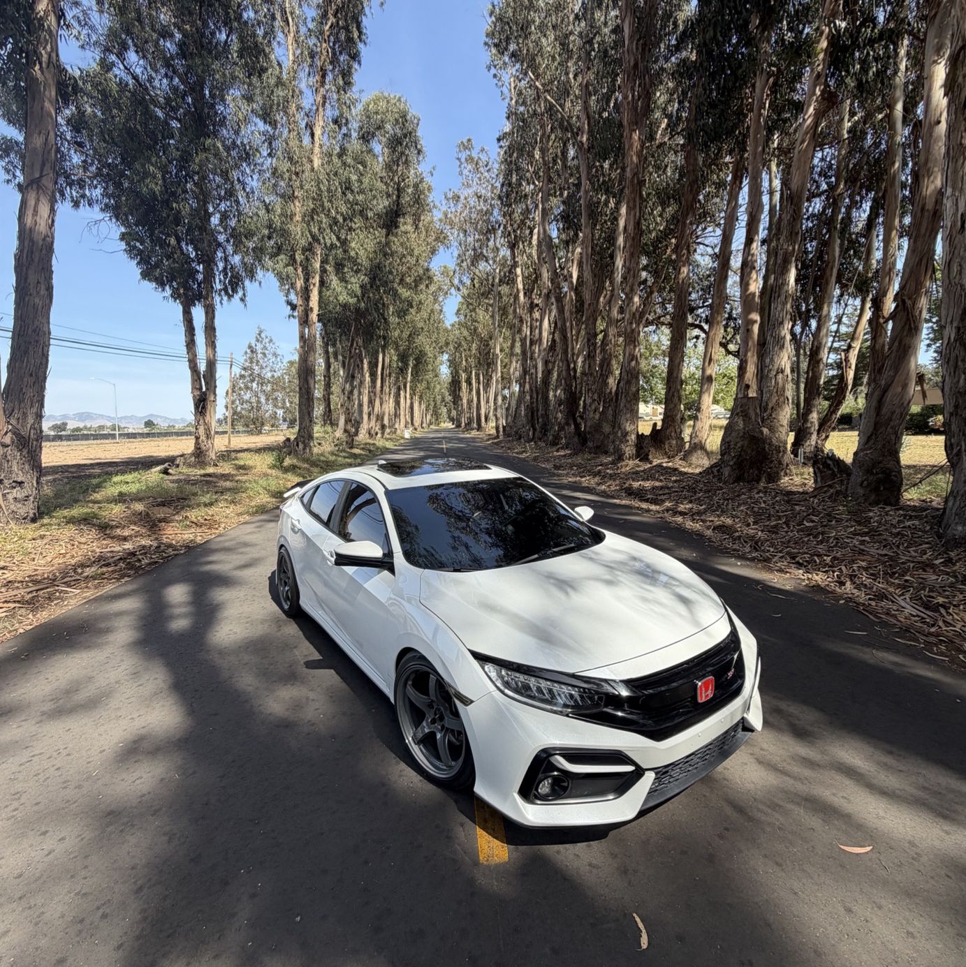 Profile of Michael Johnston