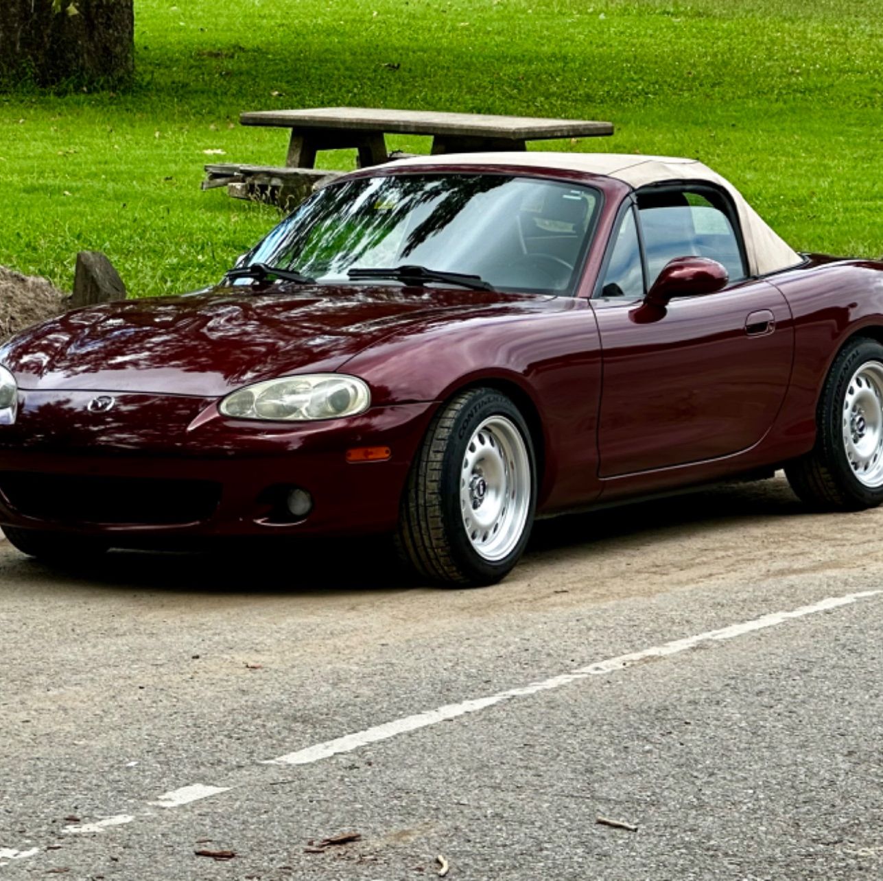 Profile of Matthew de Jongh