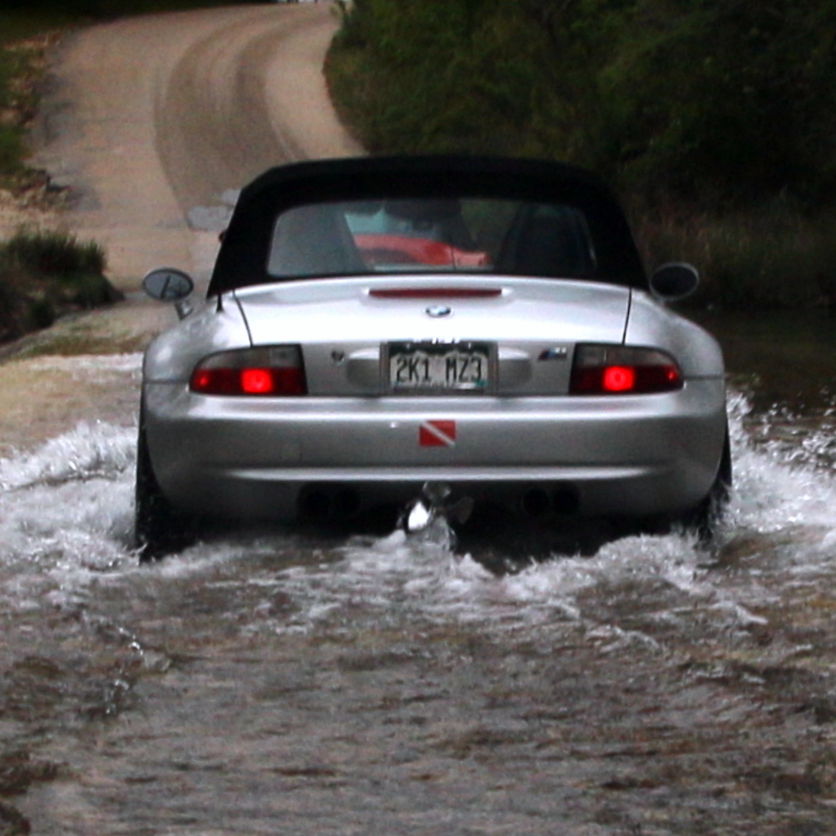 Profile of Stephen Kohn