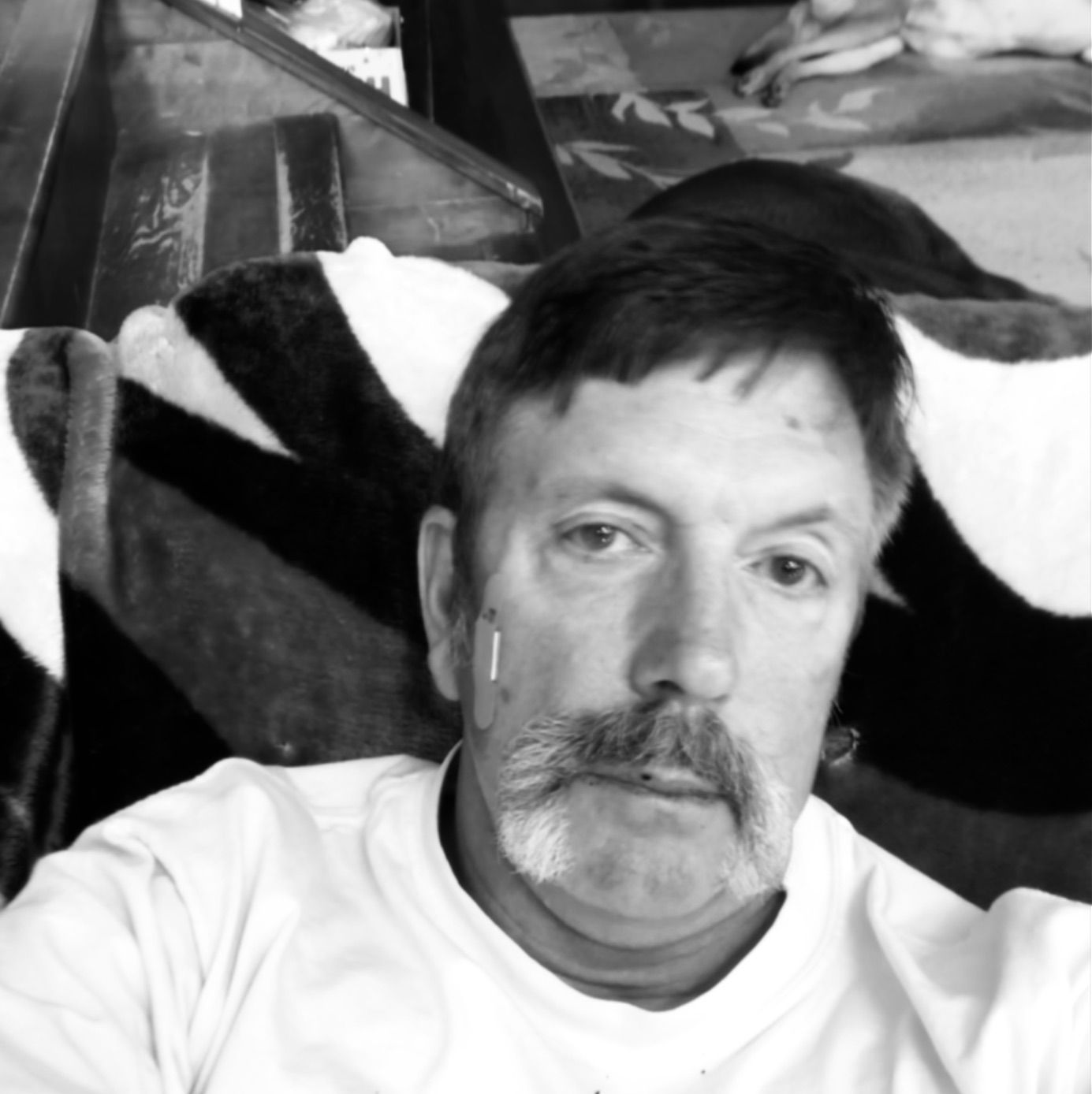 Profile of Terry Stratton