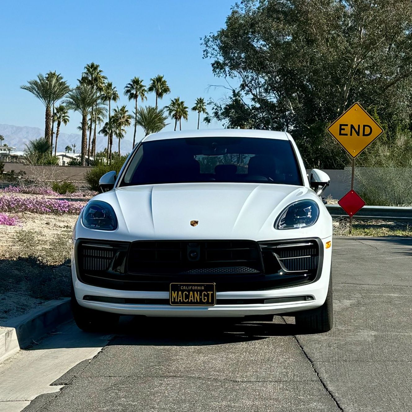 Profile of Olga Morales