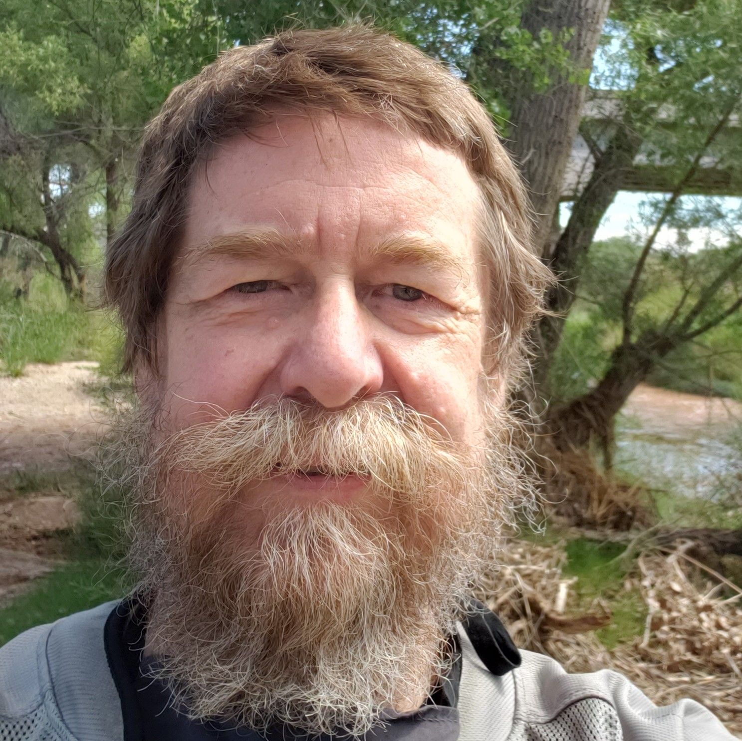 Profile of Paul Moss