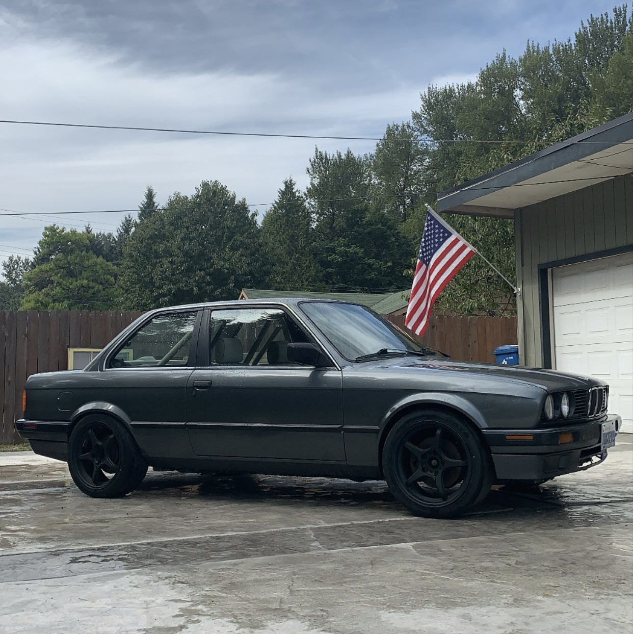 Profile of Dan Basher