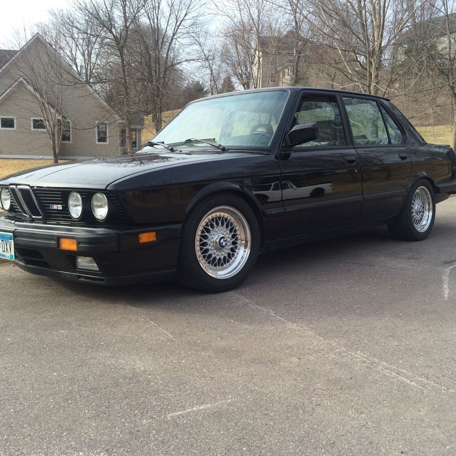 Profile of Greg Nelson