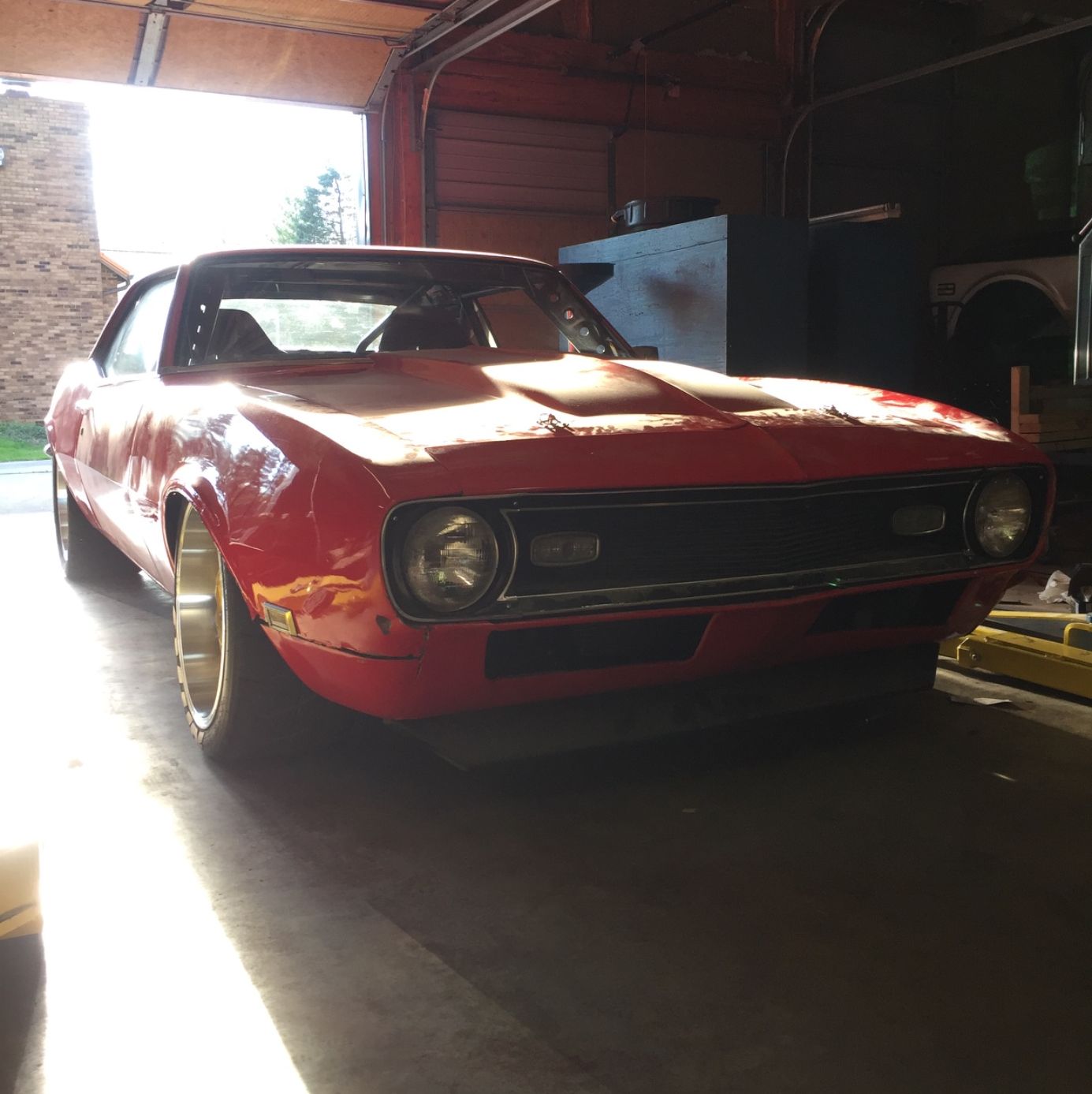 Profile of Aaron Gribben