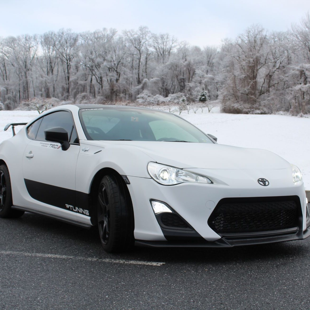 Profile of Steele Broderick