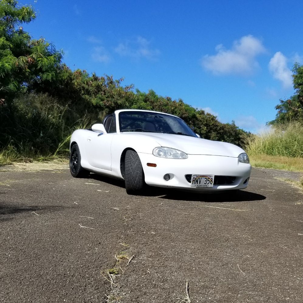 Profile of Steven Edwards