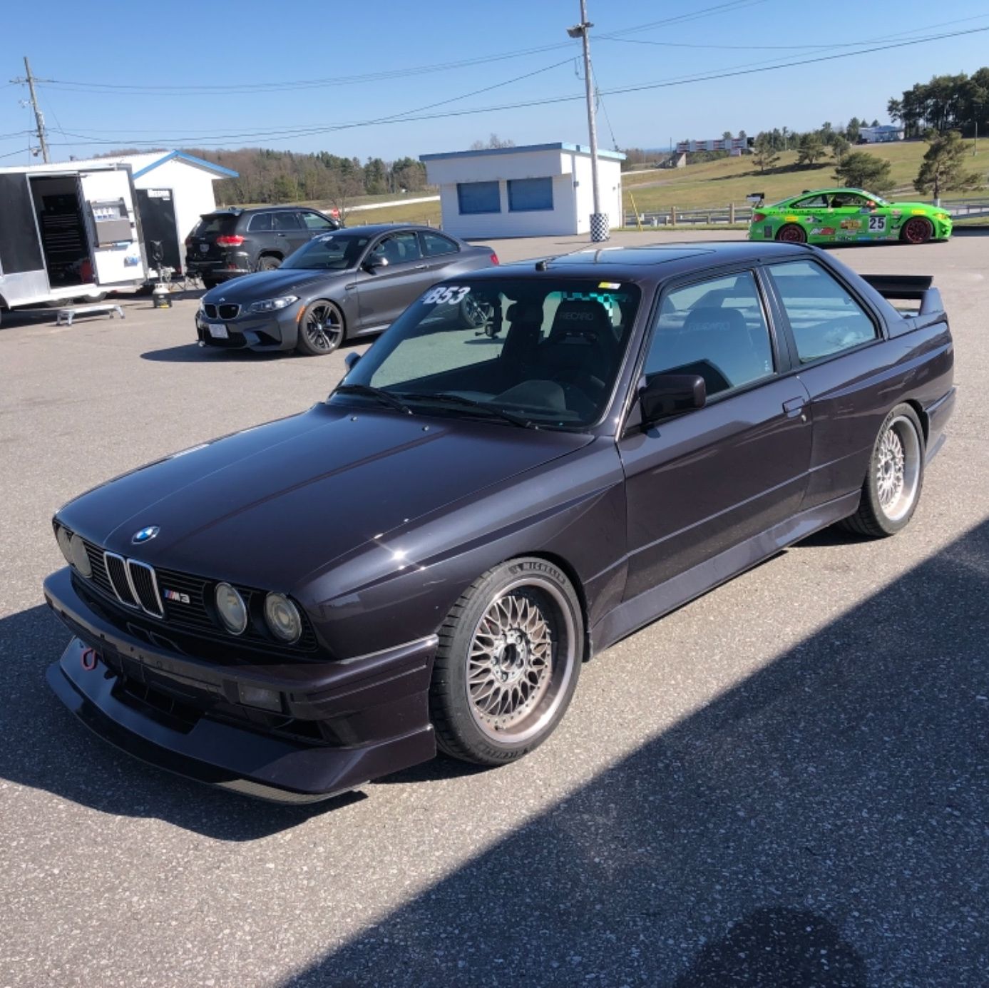 Profile of MIke Pellizzari