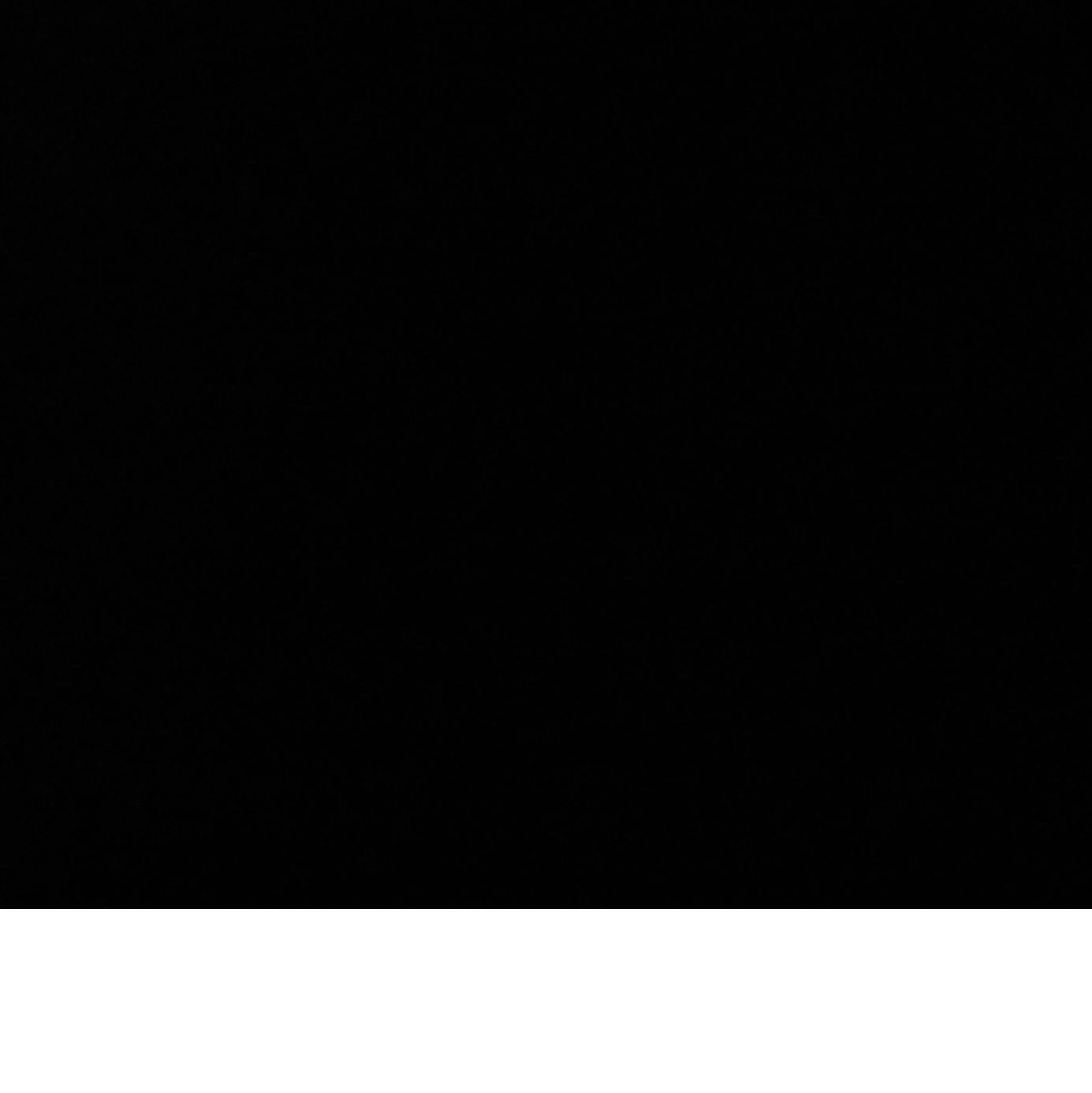 Profile of Wesley Smith