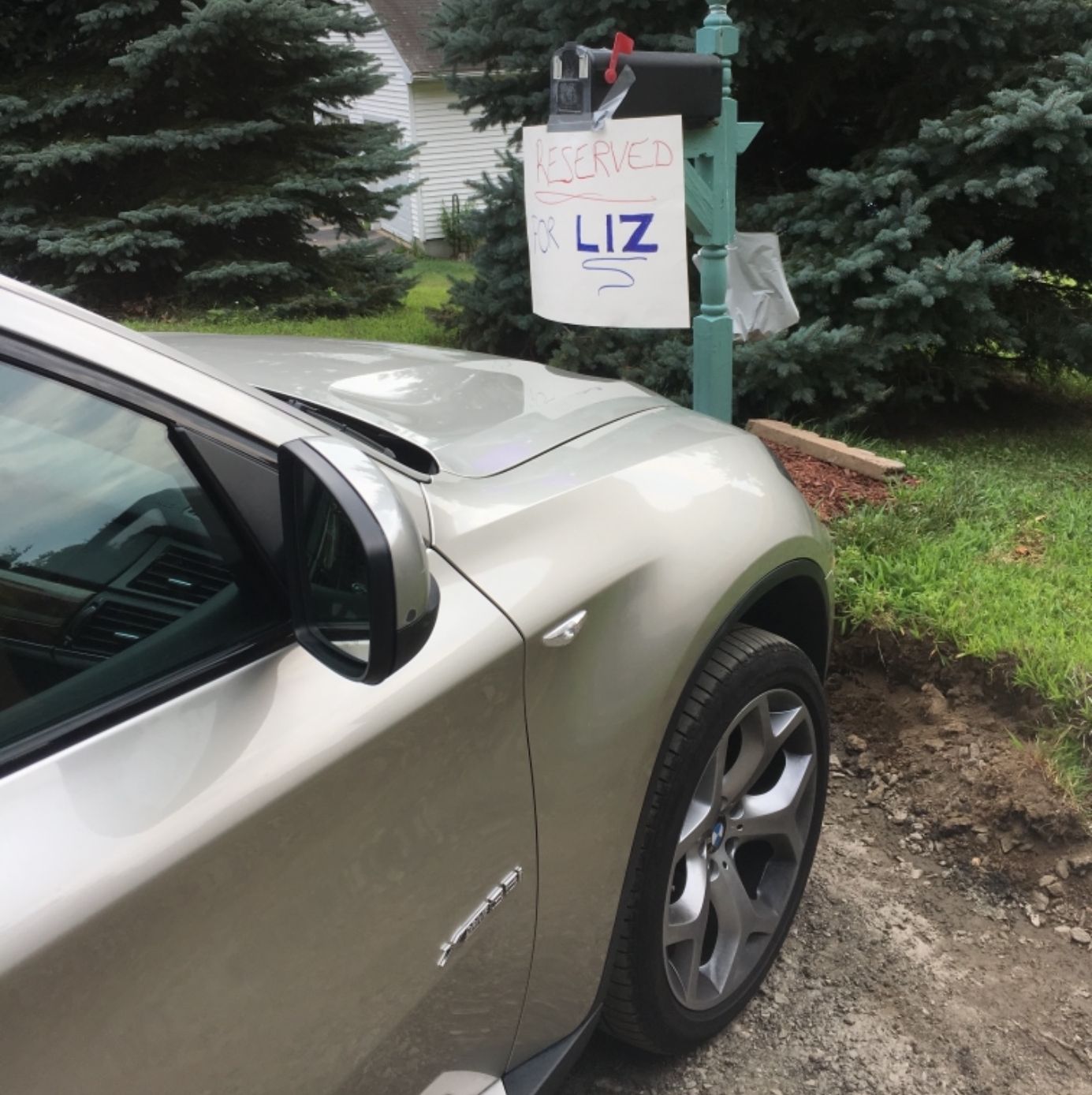 Profile of Liz Brown