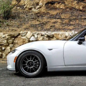 Profile of Scott Lees